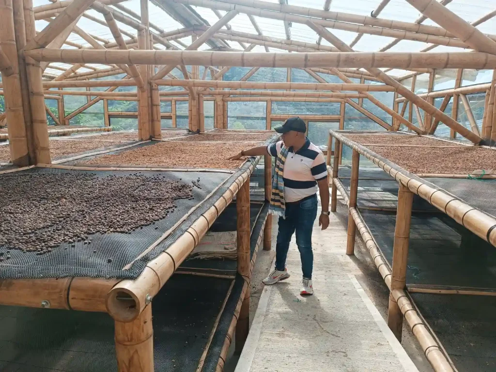 Cómo Saber si el Café es de Calidad