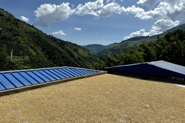 cafe-colombia cafe-colombia